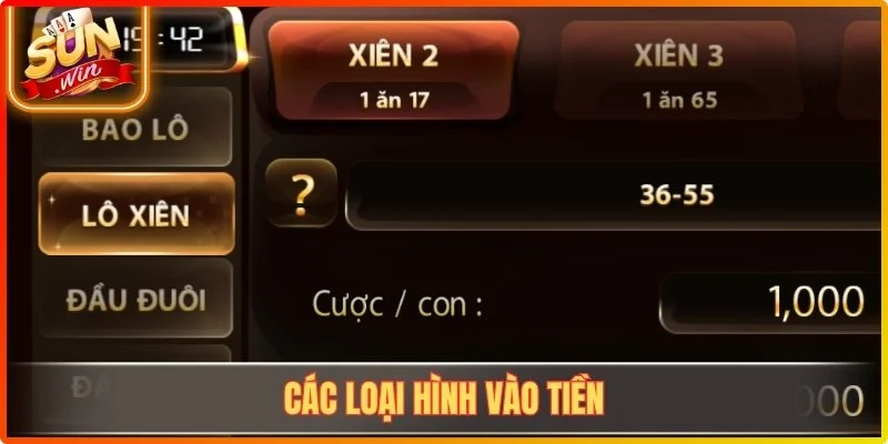Các loại hình vào tiền