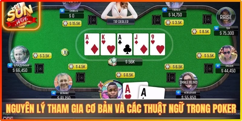 Nguyên lý tham gia cơ bản và các thuật ngữ trong poker