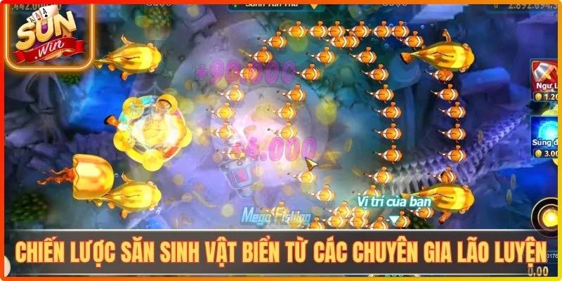 Chiến lược săn sinh vật biển từ các chuyên gia lão luyện